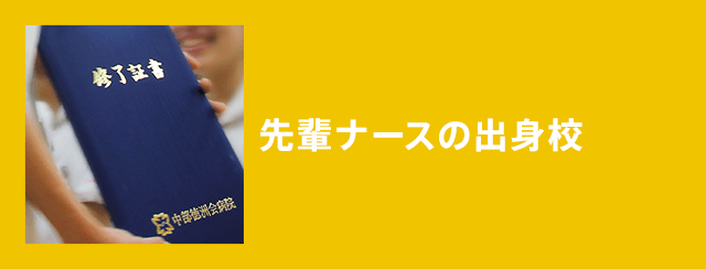 先輩ナースの出身校