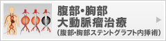 腹部・胸部大動脈瘤治療（腹部・胸部ステントグラフト内挿術）